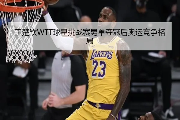 王楚钦WTT球星挑战赛男单夺冠后奥运竞争格局
